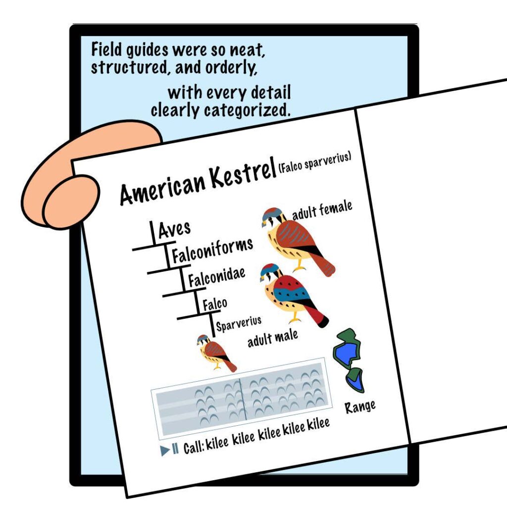 This frame shows the authors hand holding a field guide open to a colorful description of the American Kestrel (Falco sparverius). The text reads: "Field guides were so neat, structured, and orderly, with every detail clearly categorized."